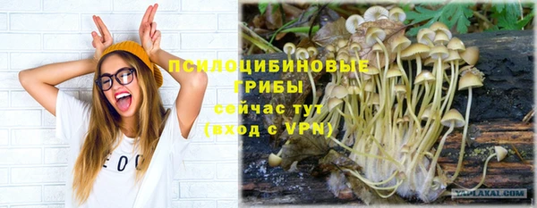 первитин Арсеньев